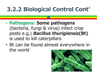 3.2.2 Biological Control Cont’
• Pathogens: Some pathogens
(bacteria, fungi & virus) infect crop
pests e.g.) Bacillus thurigiensis(Bt)
is used to kill caterpillars
• Bt can be found almost everywhere in
the world
12
 