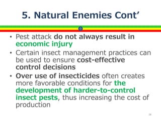 5. Natural Enemies Cont’
• Pest attack do not always result in
economic injury
• Certain insect management practices can
be used to ensure cost-effective
control decisions
• Over use of insecticides often creates
more favorable conditions for the
development of harder-to-control
insect pests, thus increasing the cost of
production
28
 