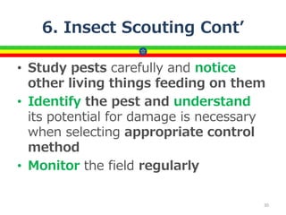 6. Insect Scouting Cont’
• Study pests carefully and notice
other living things feeding on them
• Identify the pest and understand
its potential for damage is necessary
when selecting appropriate control
method
• Monitor the field regularly
30
 