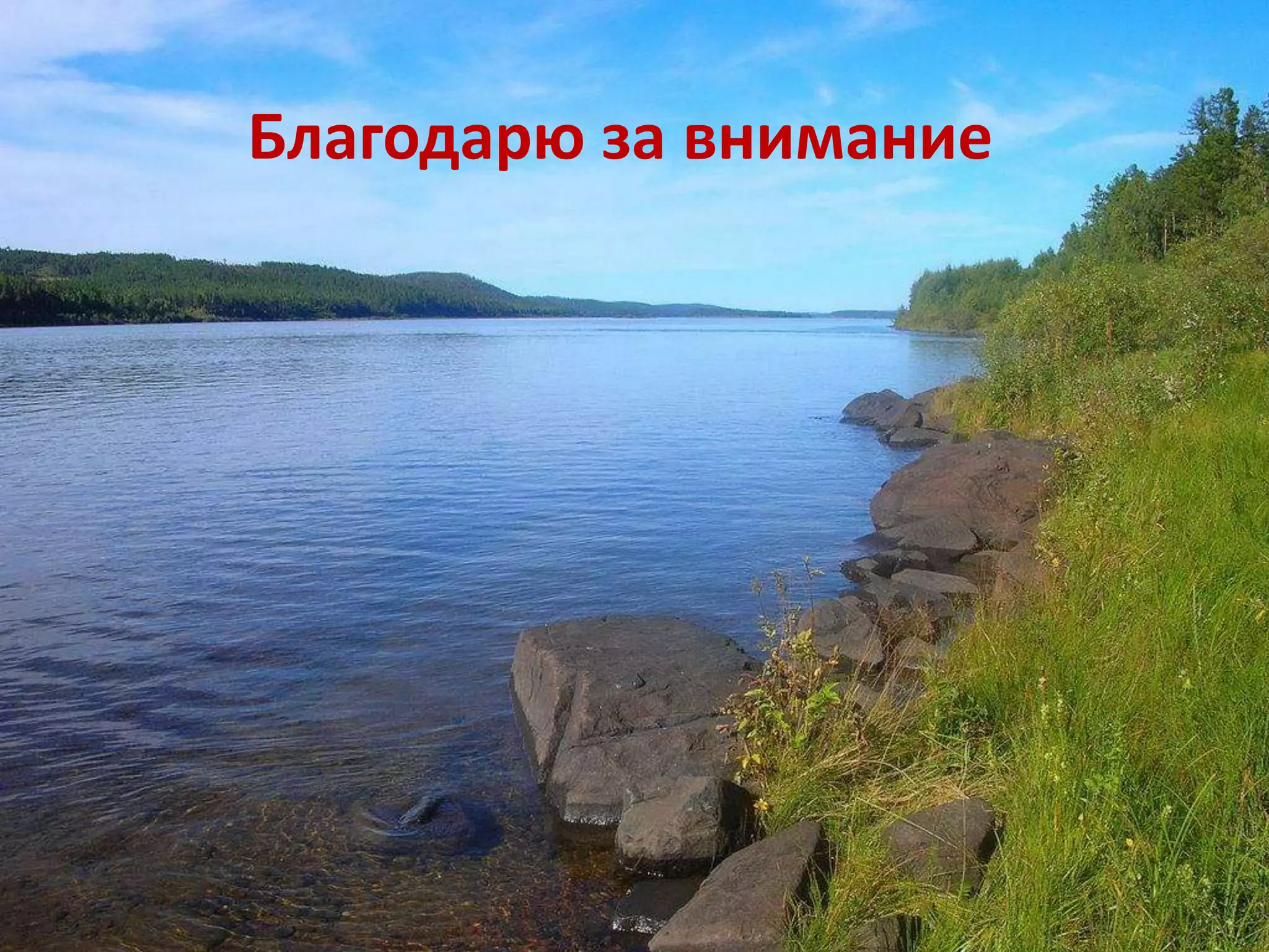 Благодарю за внимание
 