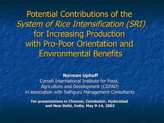 Potential Contributions of the  System of Rice Intensification (SRI)  for Increasing Production  with Pro-Poor Orientation and  Environmental Benefits Norman Uphoff Cornell International Institute for Food,  Agriculture and Development (CIIFAD) in association with Sathguru Management Consultants For presentations in Chennai, Coimbatoir, Hyderabad  and New Delhi, India, May 9-14, 2002 