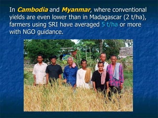In  Cambodia   and   Myanmar , where conventional yields are even lower than in Madagascar (2 t/ha), farmers using SRI hav...