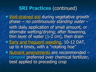 SRI Practices  (continued) <ul><li>Well-drained soil  during vegetative growth phase –  no continuously standing water  – ...