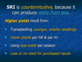 SRI  is  counterintuitive ,  because it can produce  more from less . <ul><li>Higher yields  result from: </li></ul><ul><l...