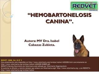 “HEMOBARTONELOSIS
CANINA”.

Autora: MV Dra. Isabel
Cabazas Zubieta.

REDVET: 2008, Vol. IX Nº 2
Esta presentación está disponible en http://www.veterinaria.org/revistas/redvet/n020208.html concretamente en
http://www.veterinaria.org/revistas/redvet/n020208/020809.ppt
REDVET® Revista Electrónica de Veterinaria está editada por Veterinaria Organización®.
Se autoriza la difusión y reenvío siempre que enlace con Veterinaria.org® http://www.veterinaria.org y con REDVET® http://www.veterinaria.org/revistas/redvet

 