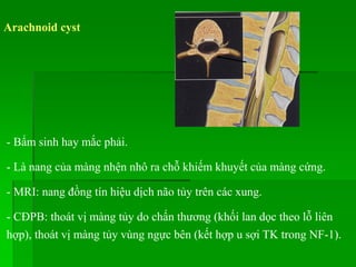 Arachnoid cyst
- Bẩm sinh hay mắc phải.
- Là nang của màng nhện nhô ra chỗ khiếm khuyết của màng cứng.
- MRI: nang đồng tín hiệu dịch não tủy trên các xung.
- CĐPB: thoát vị màng tủy do chấn thương (khối lan dọc theo lỗ liên
hợp), thoát vị màng tủy vùng ngực bên (kết hợp u sợi TK trong NF-1).
 