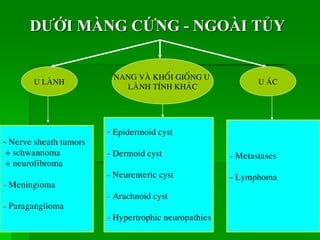 U LAØNH U AÙC
NANG VAØ KHOÁI GIOÁNG U
LAØNH TÍNH KHAÙC
- Nerve sheath tumors
+ schwannoma
+ neurofibroma
- Meningioma
- Paraganglioma
- Epidermoid cyst
- Dermoid cyst
- Neurenteric cyst
- Arachnoid cyst
- Hypertrophic neuropathies
- Metastases
- Lymphoma
DƢỚI MÀNG CỨNG - NGOÀI TỦY
 