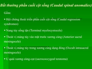 Bất thường phần cuối cột sống (Caudal spinal anomalies)
Gồm:
 Hội chứng thoái triển phần cuối cột sống (Caudal regression
syndromes)
 Nang tủy sống tận (Terminal myelocystocele)
 Thoát vị màng tủy vào mặt trước xương cùng (Anterior sacral
meningocele)
 Thoát vị màng tủy trong xương cùng dạng đóng (Occult intrasacral
meningocele)
 U quái xương cùng-cụt (sacrococcygeal teratoma)
 