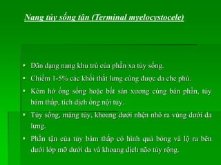  Dãn dạng nang khu trú của phần xa tủy sống.
 Chiếm 1-5% các khối thắt lưng cùng được da che phủ.
 Kèm hở ống sống hoặc bất sản xương cùng bán phần, tủy
bám thấp, tích dịch ống nội tủy.
 Tủy sống, màng tủy, khoang dưới nhện nhô ra vùng dưới da
lưng.
 Phần tận của tủy bám thấp có hình quả bóng và lộ ra bên
dưới lớp mỡ dưới da và khoang dịch não tủy rộng.
Nang tủy sống tận (Terminal myelocystocele)
 