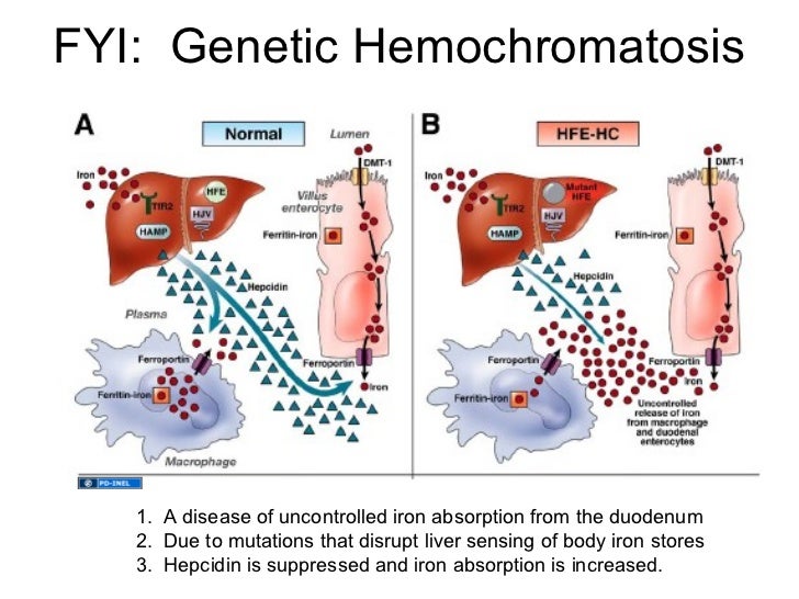 02.09.12 A GI Common GI Problems part II