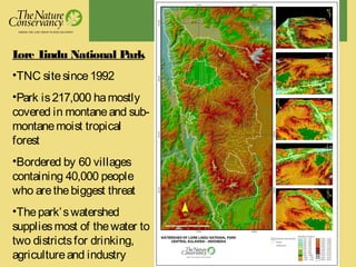 Lore Lindu National Park
•TNC sitesince1992
•Park is217,000 hamostly
covered in montaneand sub-
montanemoist tropical
forest
•Bordered by 60 villages
containing 40,000 people
who arethebiggest threat
•Thepark’swatershed
suppliesmost of thewater to
two districtsfor drinking,
agricultureand industry
 