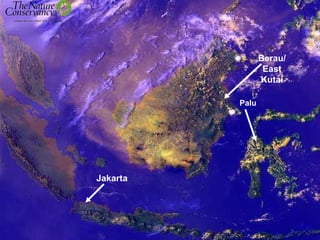 Berau/
East
Kutai
Palu
Jakarta
 