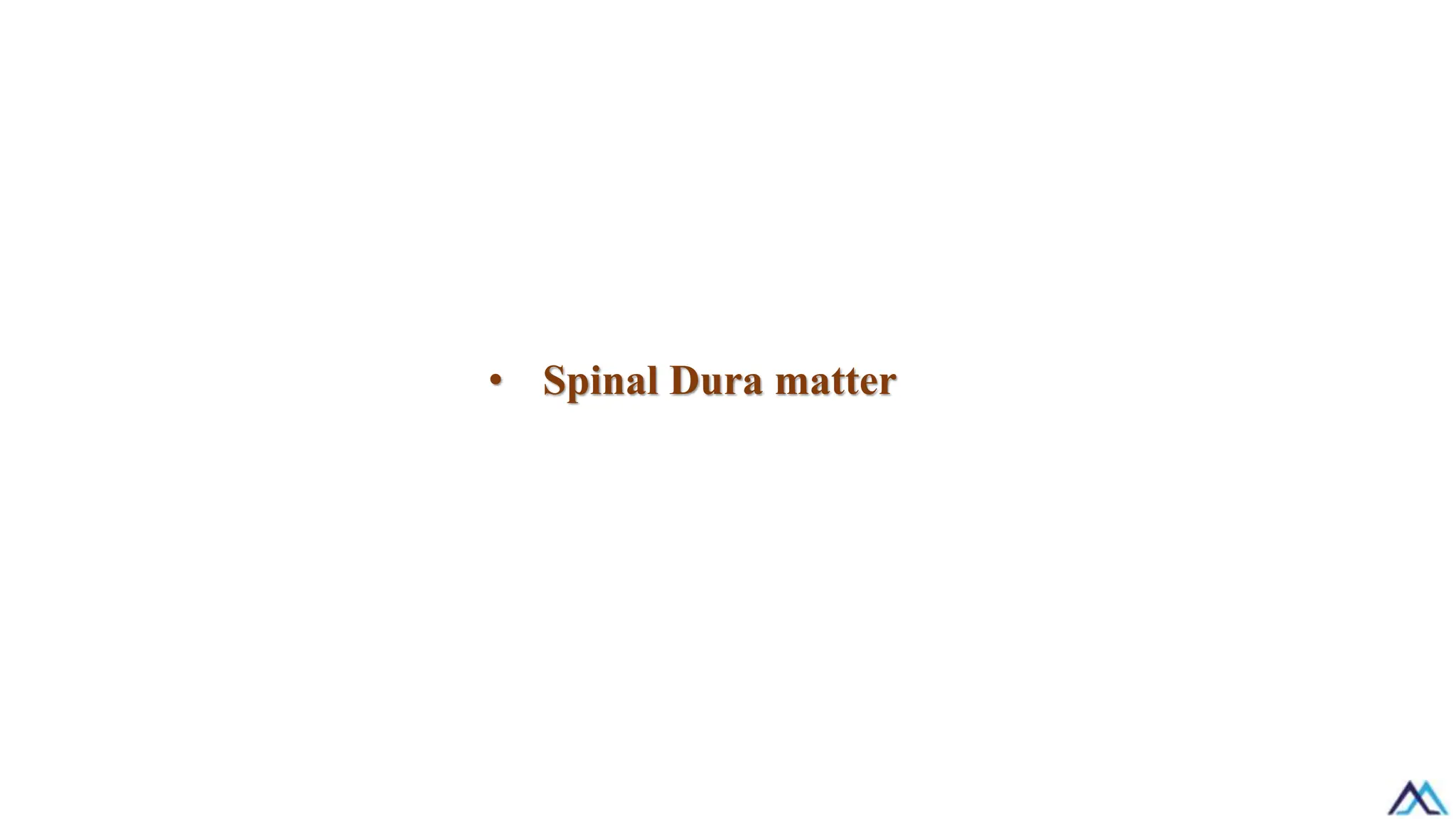 • Spinal Dura matter
 