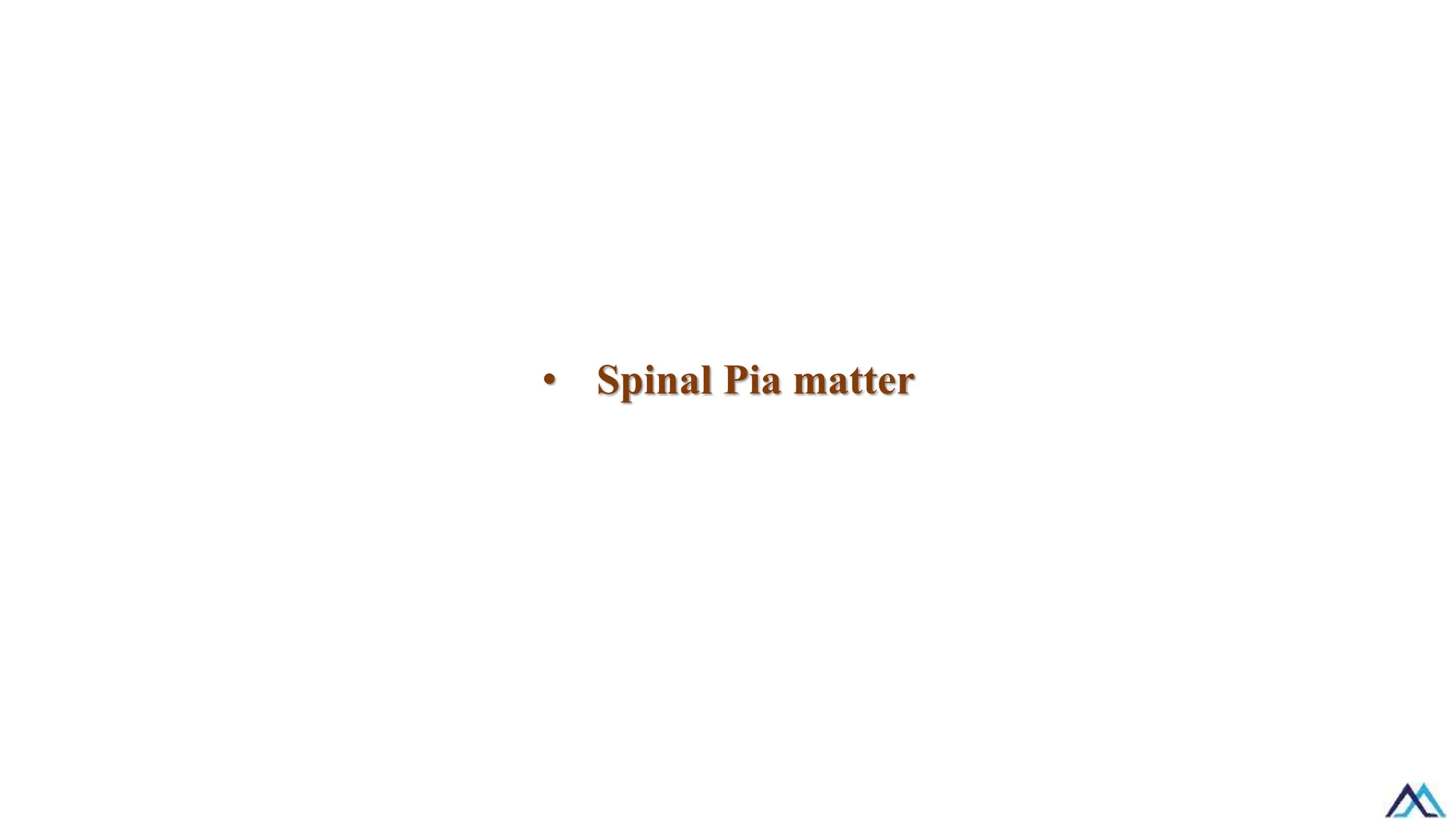 • Spinal Pia matter
 