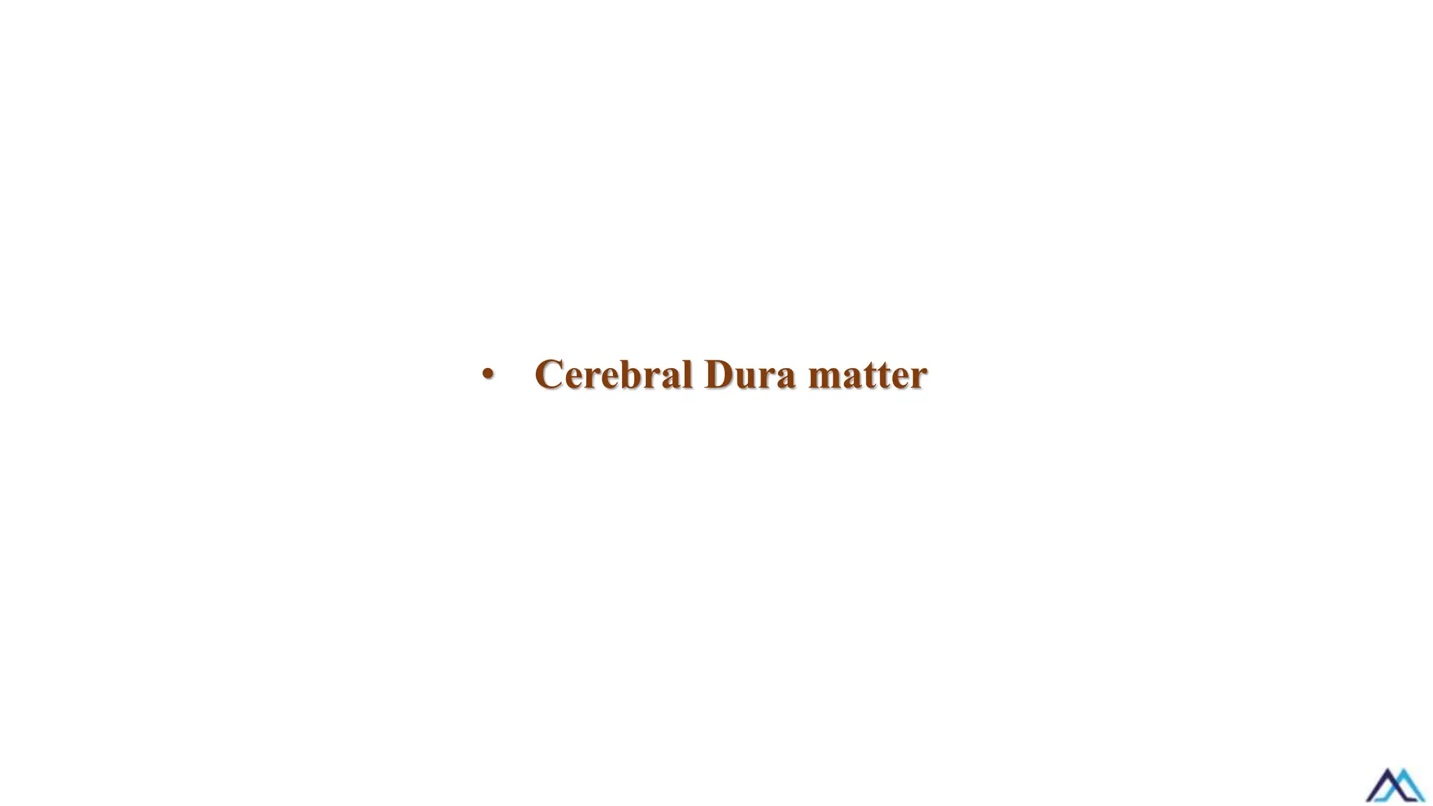 • Cerebral Dura matter
 