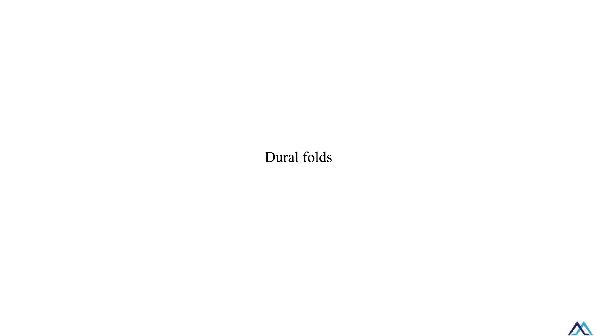 Dural folds
 