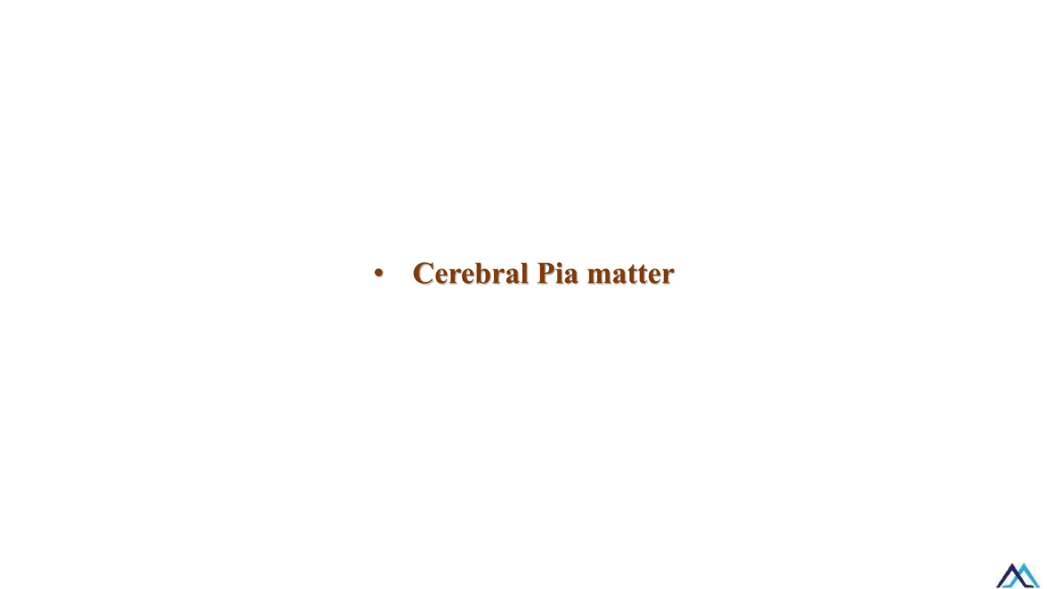 • Cerebral Pia matter
 