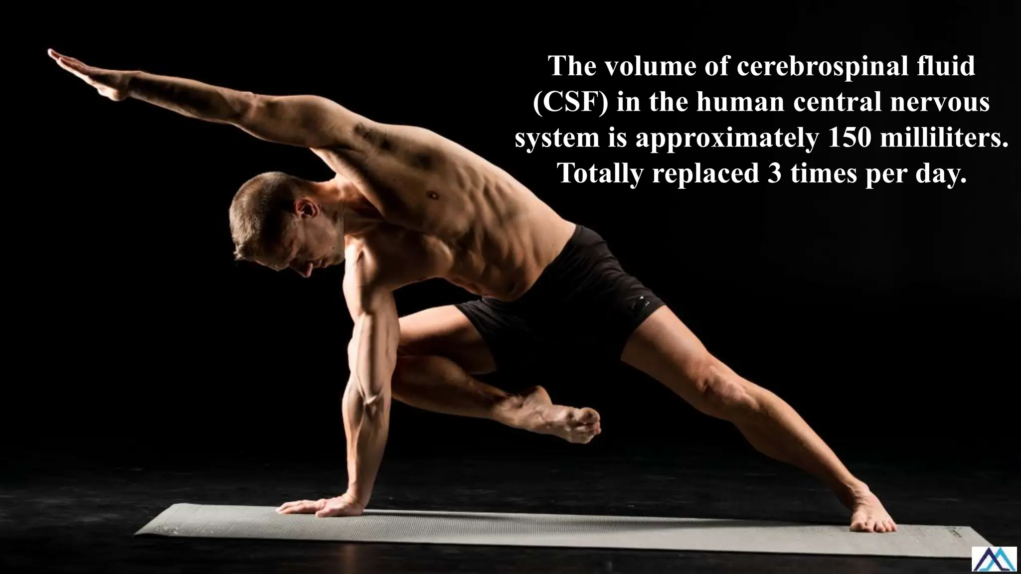 The volume of cerebrospinal fluid
(CSF) in the human central nervous
system is approximately 150 milliliters.
Totally replaced 3 times per day.
 
