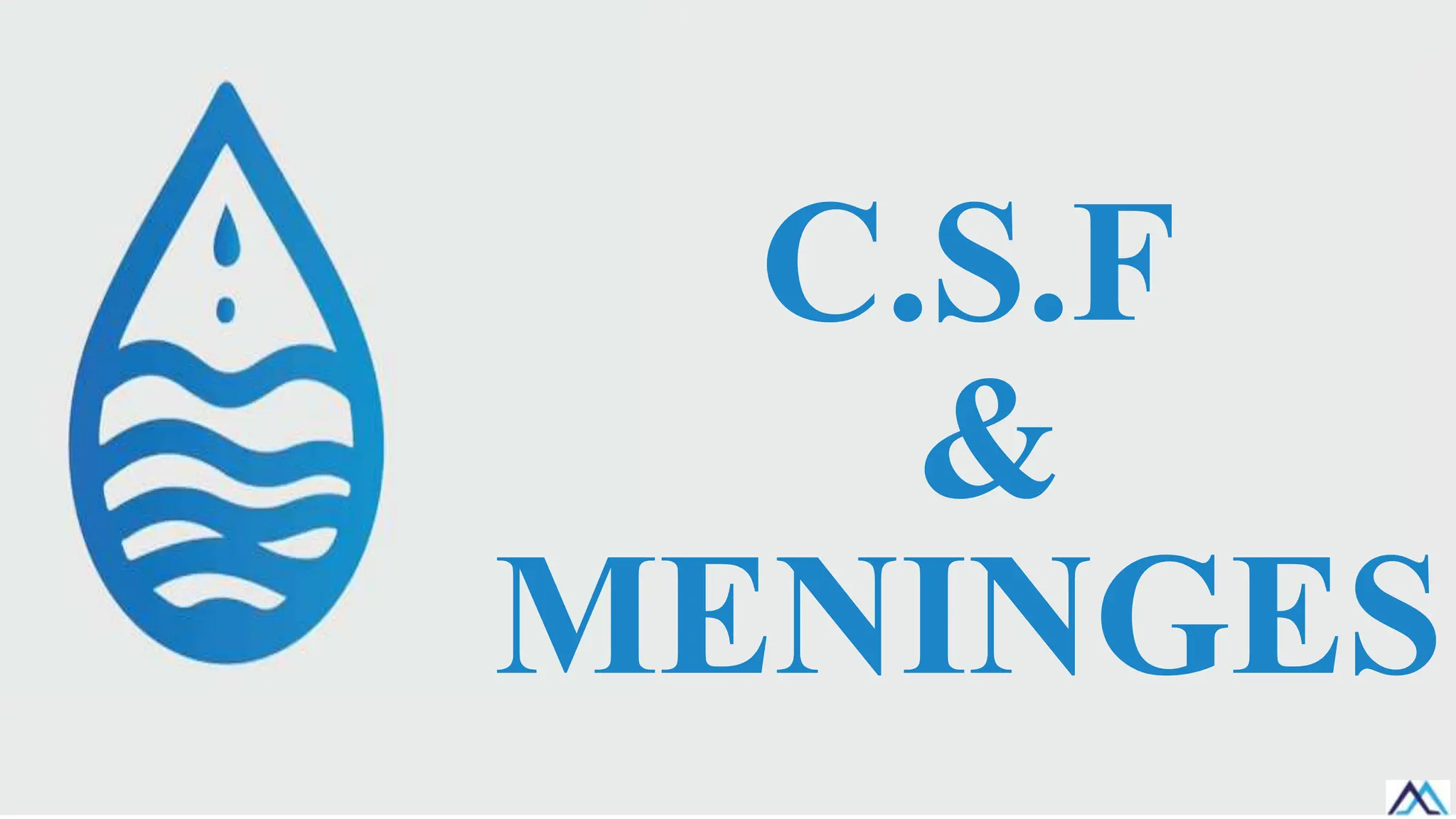 C.S.F
&
MENINGES
 