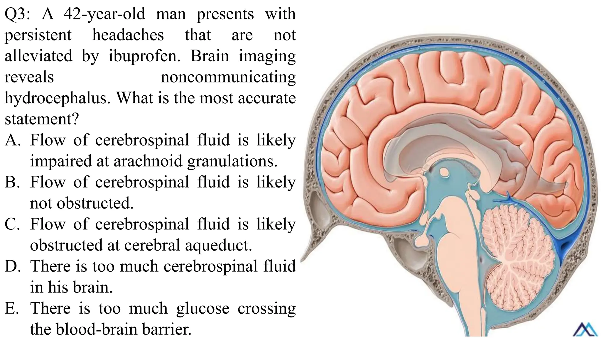 Q3: A 42-year-old man presents with
persistent headaches that are not
alleviated by ibuprofen. Brain imaging
reveals noncommunicating
hydrocephalus. What is the most accurate
statement?
A. Flow of cerebrospinal fluid is likely
impaired at arachnoid granulations.
B. Flow of cerebrospinal fluid is likely
not obstructed.
C. Flow of cerebrospinal fluid is likely
obstructed at cerebral aqueduct.
D. There is too much cerebrospinal fluid
in his brain.
E. There is too much glucose crossing
the blood-brain barrier.
 