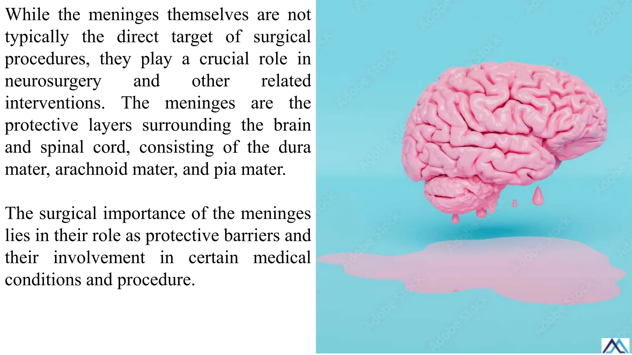 While the meninges themselves are not
typically the direct target of surgical
procedures, they play a crucial role in
neurosurgery and other related
interventions. The meninges are the
protective layers surrounding the brain
and spinal cord, consisting of the dura
mater, arachnoid mater, and pia mater.
The surgical importance of the meninges
lies in their role as protective barriers and
their involvement in certain medical
conditions and procedure.
 