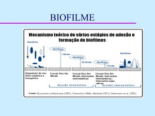 BIOFILME
 