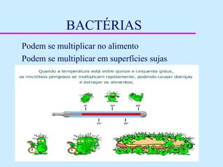 BACTÉRIAS
Podem se multiplicar no alimento
Podem se multiplicar em superfícies sujas
 