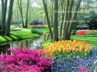 Esa luz de ternura le dió vida a un jardín reseco ya olvidado  
