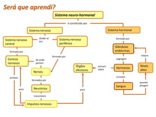 Será que aprendi?
                                          Sistema neuro-hormonal

                                                      é constituído por

                    Sistema nervoso                                                Sistema hormonal

                            divide-se                                                   formado por
Sistema nervoso                              Sistema nervoso
                            em
central                                      periférico
                                                                                       Glândulas
   formado por                                                                         endócrinas
                                        formado por                                                    inibem
 Centros                 de onde                                                        segregam
 nervosos                partem
                                                             Órgãos       actuam                      Níveis
                                                                          sobre
                                                                                        Hormonas
                                                             efectores                                altos
                       Nervos
   emitem                                                                               circulam
                      formados por
                                                                                                      quando
                                                                                        Sangue        atingem
            para       Neurónios                                para

                       transmitem


                   Impulsos nervosos
 