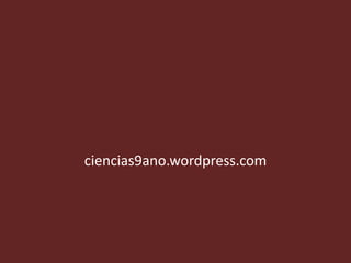 ciencias9ano.wordpress.com
 