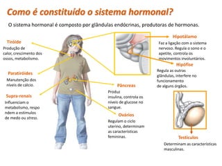 Como é constituído o sistema hormonal?
  O sistema hormonal é composto por glândulas endócrinas, produtoras de hormonas.

                                                                            Hipotálamo
  Tiróide                                                           Faz a ligação com o sistema
Produção de                                                         nervoso. Regula o sono e o
calor, crescimento dos                                              apetite, controla os
ossos, metabolismo.                                                 movimentos involuntários.
                                                                              Hipófise
                                                                   Regula as outras
  Paratiróides                                                     glândulas, interfere no
 Manutenção dos                                                    funcionamento
 níveis de cálcio.                              Pâncreas           de alguns órgãos.
                                           Produz
 Supra-renais                              insulina, controla os
 Influenciam o                             níveis de glucose no
 metabolismo, respo                        sangue.
 ndem a estímulos
                                                 Ovários
 de medo ou stress.
                                           Regulam o ciclo
                                           uterino, determinam
                                           as características
                                           femininas.                          Testículos
                                                                       Determinam as características
                                                                       masculinas.

    Planeta Terra — 9.º ano
 
