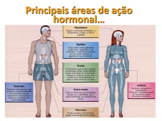 Principais áreas de ação
      hormonal…
 