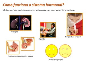 Como funciona o sistema hormonal?
O sistema hormonal é responsável pelos processos mais lentos do organismo.




         Excreção

                                                                        Temperatura corporal
                                        Digestão




     Funcionamento dos órgãos sexuais

                                                   Humor e disposição


 Planeta Terra — 9.º ano
 