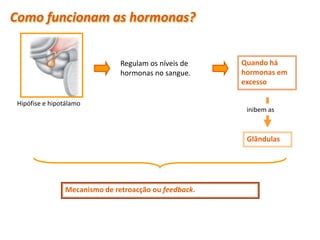 Como funcionam as hormonas?


                                 Regulam os níveis de    Quando há
                                 hormonas no sangue.     hormonas em
                                                         excesso

 Hipófise e hipotálamo
                                                          inibem as



                                                          Glândulas




                  Mecanismo de retroacção ou feedback.




Planeta Terra — 9.º ano
 