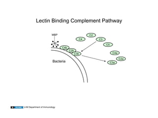 Lectin Complement System 02.10.09(a): Self-Study: The Complement System in Human Disease | PDF