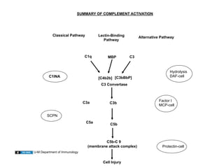 02.10.09(a): Self-Study: The Complement System in Human Disease | PDF