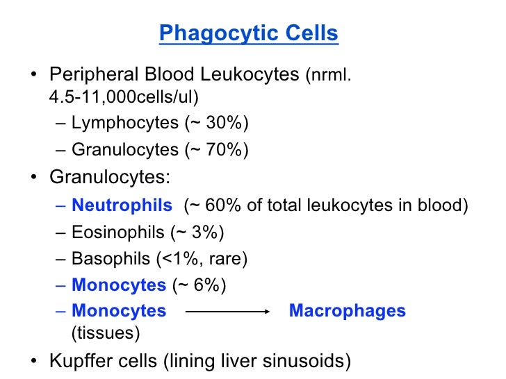 02 10 09 B Phagocytic Cells Mechanisms Of Bacterial Injury And Tis