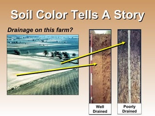 Soil Color Tells A Story Well Drained Poorly Drained Drainage on this farm? 