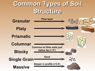 Common Types of Soil Structure Granular Platy Prismatic Columnar Blocky Single Grain Massive Common to Ohio soils just below Ap (> 8”) Plow layer Sand Deeper in profile (>3-4’) 