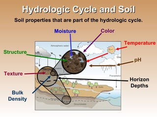 Hydrologic Cycle and Soil Color Structure Bulk Density Texture pH Temperature Moisture Horizon Depths Soil properties that are part of the hydrologic cycle. 