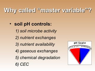 Why called “master variable”? soil pH controls: soil microbe activity nutrient exchanges nutrient availability gaseous exchanges chemical degradation CEC 