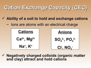 Cation Exchange Capacity (CEC) Ability of a soil to hold and exchange cations Ions are atoms with an electrical charge Negatively charged colloids (organic matter and clay) attract and hold cations Cations Ca 2+ , Mg 2+ Na + , K + Anions SO 4 2- , PO 4 3- Cl - , NO 3 - 