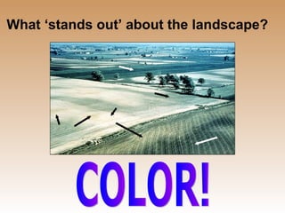 What ‘stands out’ about the landscape? COLOR! 