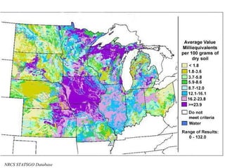 NRCS STATSGO Database 