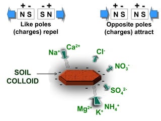 SOIL COLLOID N S N S S N N S + - - + + - + - Like poles (charges) repel Opposite poles (charges) attract Ca 2+ K + Na + Mg 2+ SO 4 2- NO 3 - Cl - NH 4 + 