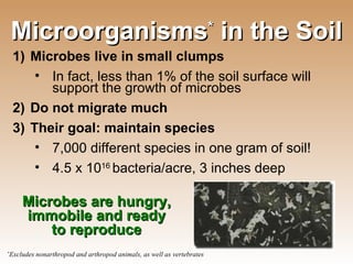 Microorganisms *  in the Soil Microbes live in small clumps  In fact, less than 1% of the soil surface will support the growth of microbes Do not migrate much Their goal: maintain species 7,000 different species in one gram of soil! 4.5 x 10 16  bacteria/acre, 3 inches deep * Excludes nonarthropod and arthropod animals, as well as vertebrates Microbes are hungry, immobile and ready to reproduce 