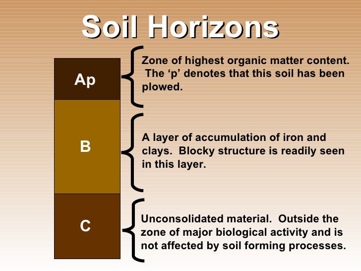 soil profile and soil horizon definition soil profile and soil horizon definition