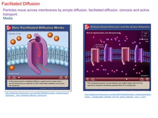 Facilitated Diffusion
Media
http://highered.mheducation.com/sites/0072495855/student_view0/chapter2
/animation__how_facilitated_diffusion_works.html http://highered.mheducation.com/sites/0072943696/student_view0/chapter8/ani
mation__voltage-gated_channels_and_the_action_potential__quiz_1_.html
Particles move across membranes by simple diffusion, facilitated diffusion, osmosis and active
transport.
 