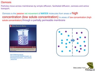 Osmosis
Osmosis is the passive net movement of WATER molecules from areas of high
concentration (low solute concentration) to areas of low concentration (high
solute concentration) through a partially permeable membrane
Particles move across membranes by simple diffusion, facilitated diffusion, osmosis and active
transport.
http://highered.mcgraw-
hill.com/sites/0072495855/student_vie
w0/chapter2/animation__how_osmosis
_works.html
Slide edited from
 