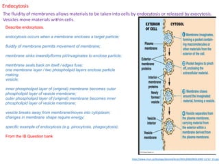 Endocytosis
The fluidity of membranes allows materials to be taken into cells by endocytosis or released by exocytosis.
Vesicles move materials within cells.
Describe endocytosis.
endocytosis occurs when a membrane encloses a target particle;
fluidity of membrane permits movement of membrane;
membrane sinks inwardly/forms pit/invaginates to enclose particle;
membrane seals back on itself / edges fuse;
one membrane layer / two phospholipid layers enclose particle
making
vesicle;
inner phospholipid layer of (original) membrane becomes outer
phospholipid layer of vesicle membrane;
outer phospholipid layer of (original) membrane becomes inner
phospholipid layer of vesicle membrane;
vesicle breaks away from membrane/moves into cytoplasm;
changes in membrane shape require energy;
specific example of endocytosis (e.g. pinocytosis, phagocytosis);
From the IB Question bank
http://www.mun.ca/biology/desmid/brian/BIOL2060/BIOL2060-12/12_13.jpg
 